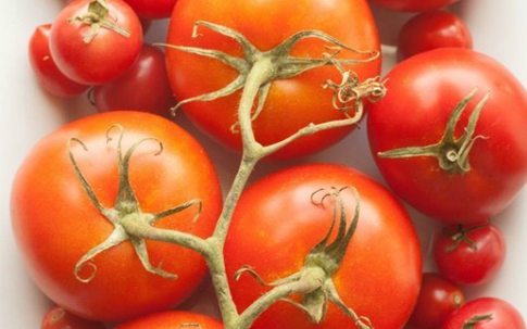 Tại sao không nên cho cà chua vào tủ lạnh?