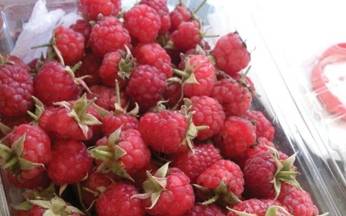 Mua trái cây ngoại giá siêu rẻ