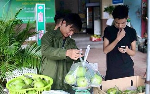Lệ Rơi: Tham vọng mới thành ông trùm ổi miền Bắc
