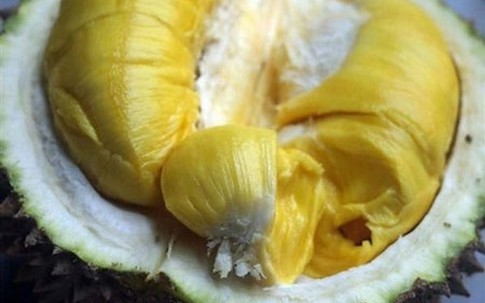 Ăn sầu riêng sau khi uống rượu: Cảnh báo ngộ độc