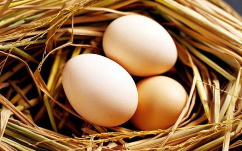 Cách bảo quản trứng tốt nhất vào mùa hè