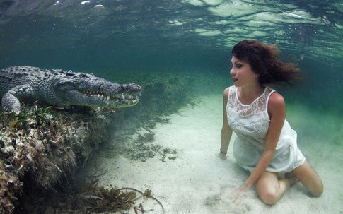 Người mẫu xinh đẹp liều mình chụp ảnh cùng cá sấu