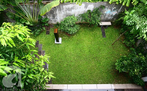Mướt mắt ngôi nhà phủ đầy cây xanh của nghệ sĩ nổi tiếng ở trung tâm Hà Nội