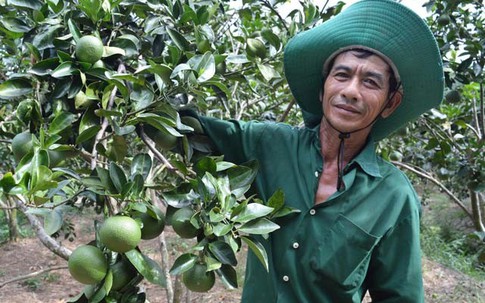 Nhà nông "bắt" đất phèn "đẻ" tiền tỷ