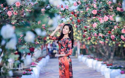 Sao Việt dịu dàng sắc xuân
