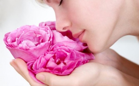 7 lợi ích sức khỏe và sắc đẹp bất ngờ từ hoa hồng