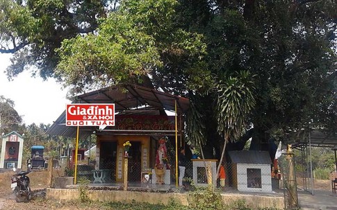 Chuyện ông lão "tóc rồng": Từng bất tỉnh 3 ngày 3 đêm rồi đi bộ lên núi tu hành