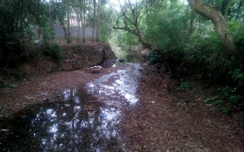 Vùng quê nghèo xôn xao vì ngôi mộ chôn tập thể