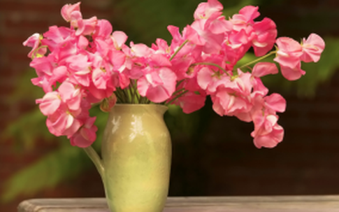 6 mẹo làm mới nhà mà chẳng tốn đồng nào