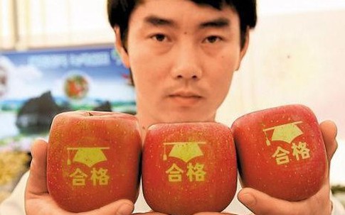 Tròn mắt ngắm táo vuông có chữ may mắn