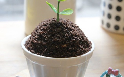 6 món ăn mới xuất hiện đã gây "bão" trên mạng xã hội