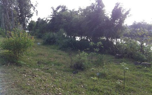 Bé gái 9 tuổi và buổi đi học kinh hoàng khi gặp tên “ngáo đá”