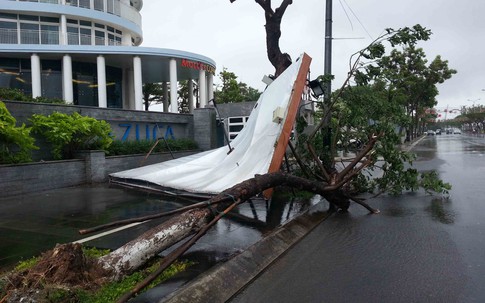 Học sinh Đà Nẵng nghỉ học "khẩn" tránh bão