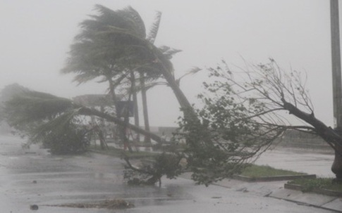 Khoảng 9-10 cơn bão, áp thấp trong năm 2015