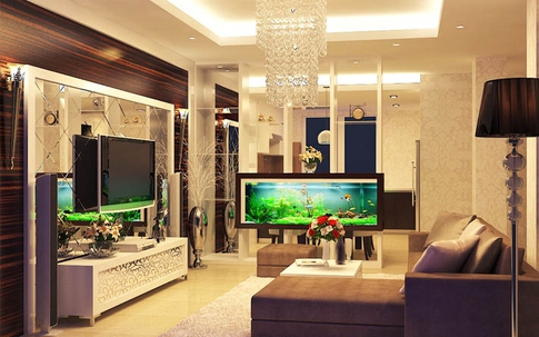 Những điều cần biết về bể cá trong phòng khách giúp mang đến sự hưng vượng