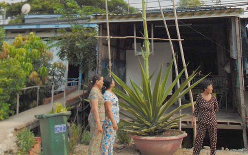 Bi hài cây lạ chữa bách bệnh mỗi ngày lớn thêm 20cm