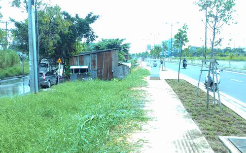 Nguy cơ bùng phát dịch sốt xuất huyết tại TPHCM: Gia tăng điểm “nóng” vì đường mới, nhà mới