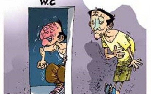 Dùng mật lợn chữa bệnh trĩ có hiệu quả không?