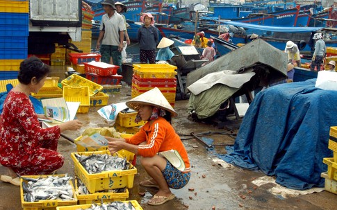 Hiểu thêm về Bản đồ điện tử Dân số “đặc biệt”