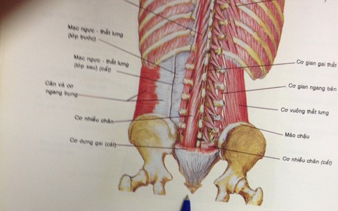 Tai nạn chốn phòng the: Kinh hoàng đêm tái hôn