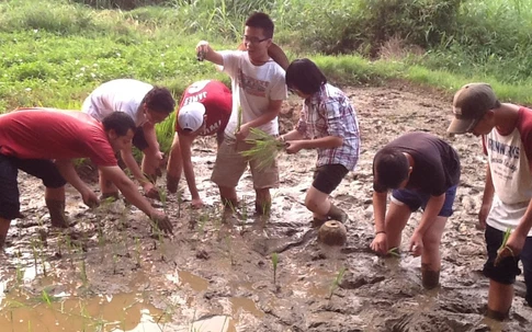 Khóc cười chuyện trẻ “đi tu, vào quân đội và làm nông dân”