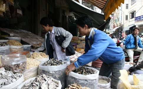 Cách chọn miến, mộc nhĩ, nấm hương ngày Tết