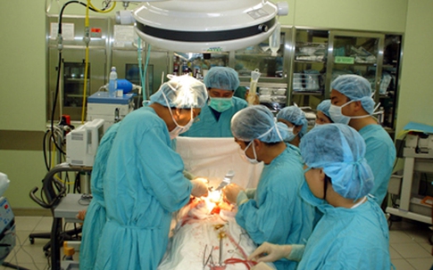 Suýt mất mạng vì tân trang “lá nho”