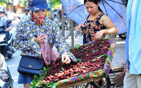 Thanh mai bất ngờ  tăng giá gấp đôi