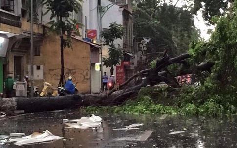 Miền Bắc tiếp tục có mưa dông, gió giật mạnh những ngày tới