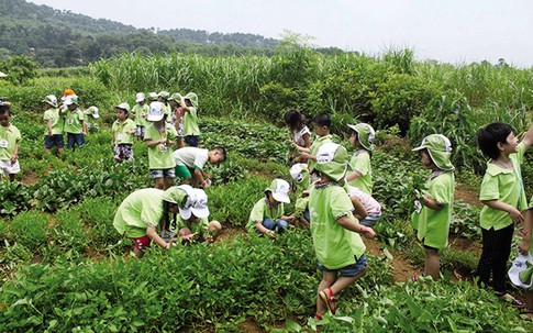 “Qua vụ thảm sát ở Bình Phước, càng phải dạy trẻ kỹ năng sống”