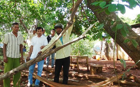 Ông bà bị sét đánh tử vong khi trú mưa cùng hai cháu