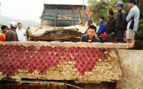 Hi hữu tài xế xe tải bị cổng làng đè chết