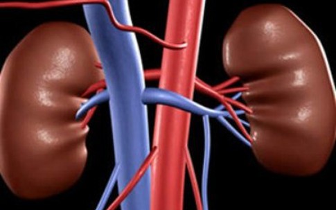 Bệnh nang thận có nguy hiểm?