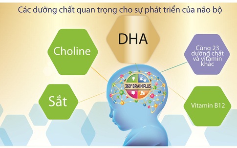 Nguồn dinh dưỡng đúng cho sự phát triển trí não toàn diện của bé