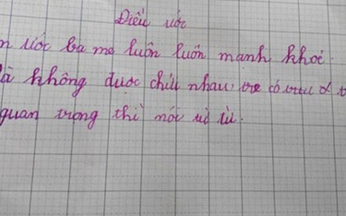 Điều ước của học sinh lớp 2: Ba mẹ đừng chửi nhau
