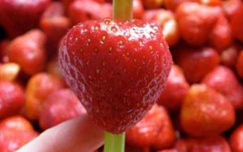 12 mẹo làm đồ ăn hay cho nhà có trẻ nhỏ