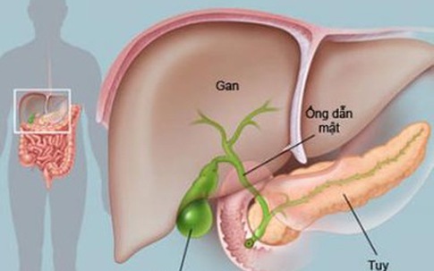 U nang tụy có nguy hiểm?