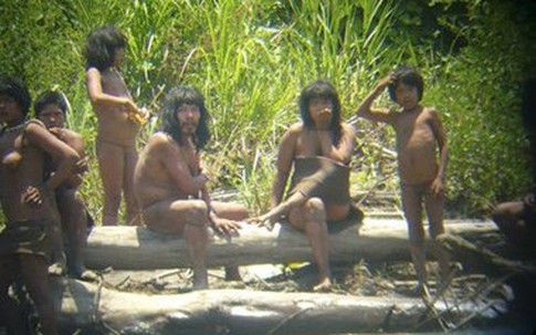 Bộ tộc bí ẩn ở Amazon bất ngờ xuất hiện, dùng cung bắn chết người