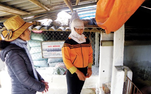 Xã duy nhất ở Thái Bình không có người sinh con thứ 3 về đích nông thôn mới