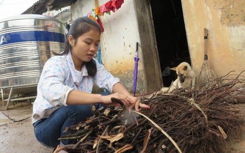 Cô bé lấy củi ngày ấy và tân sinh viên bây giờ...
