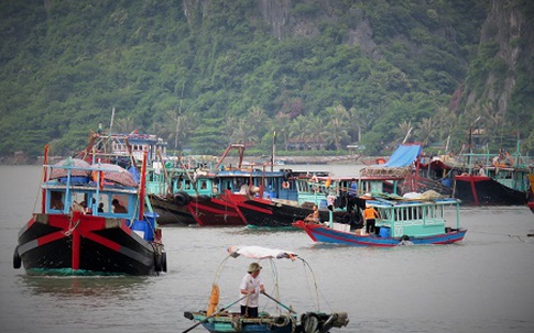 Tin tức mới nhất bão số 1: Đêm nay, bão sẽ vào Hạ Long