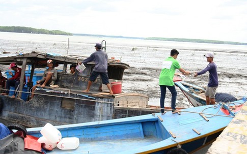 Ngành Dân số TP.HCM mít tinh hưởng ứng Ngày Dân số Thế giới