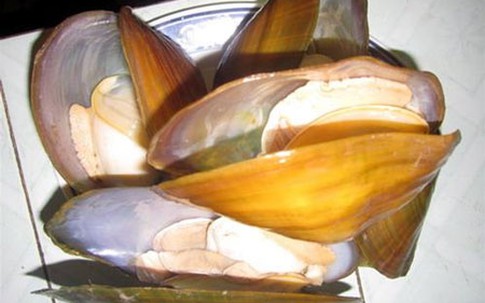 Tác hại khôn lường ít ai biết của trai, hến