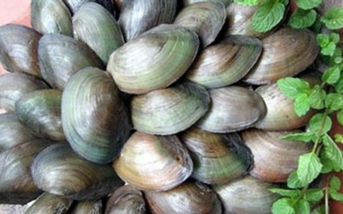 Cách đơn giản loại bỏ độc tố trong trai, hến
