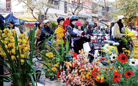 Thị trường hoa, cây cảnh Tết: Tên càng kêu, càng… hút khách