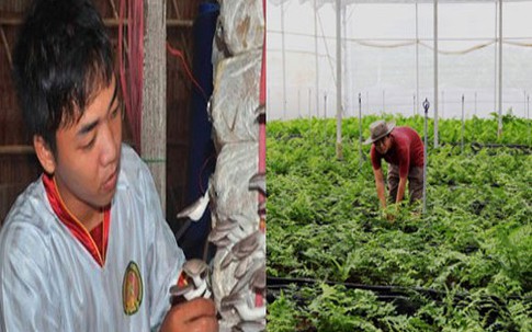 Những mặt hàng nông sản biến người nông dân thành triệu phú