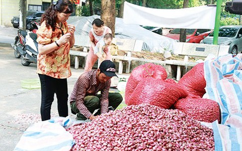 Thực hư tỏi Lý Sơn bán đổ đống trên vỉa hè Hà Nội