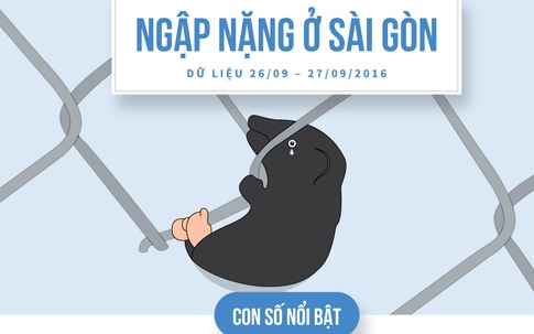 INFOGRAPHIC: 3 ngày mưa khủng khiếp ở Sài Gòn