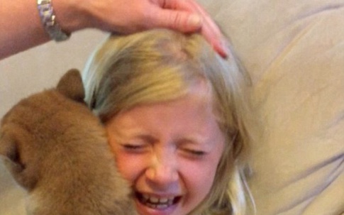 Video: Cô bé khóc nức nở khi nhận được một chú chó trong ngày sinh nhật