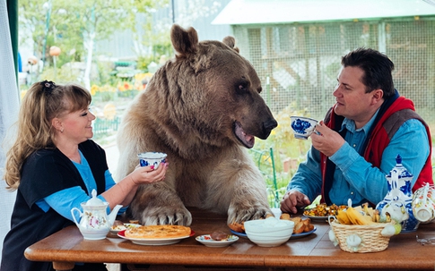 Cặp vợ chồng sống chung nhà với gấu suốt 23 năm